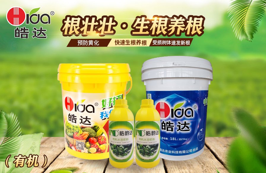 根壯壯（有機(jī)）