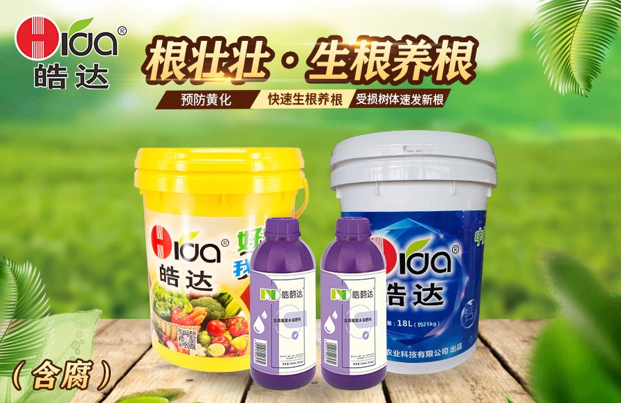 根壯壯（含腐）